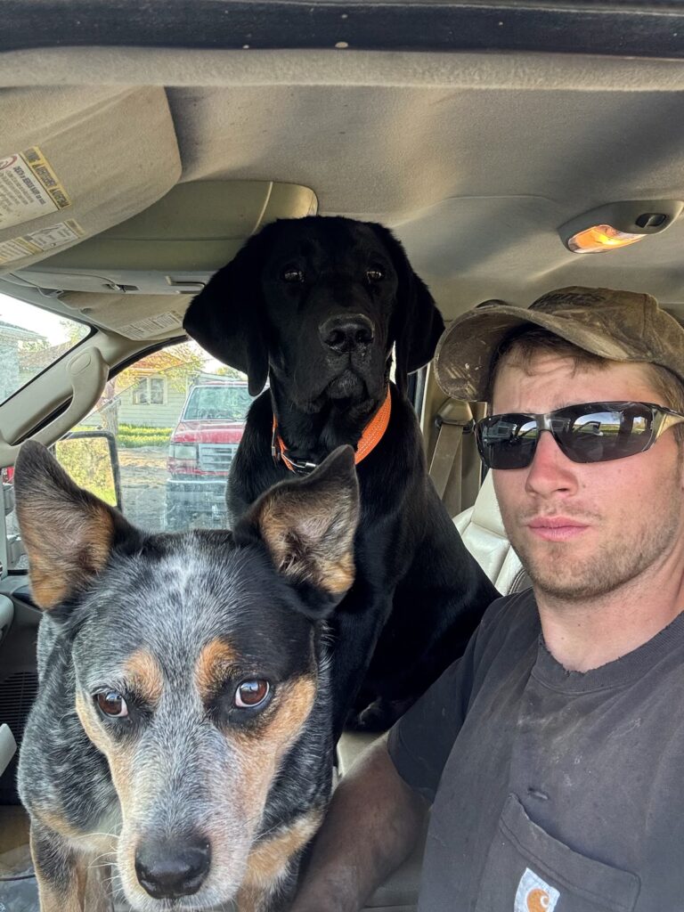 jaceanddogs